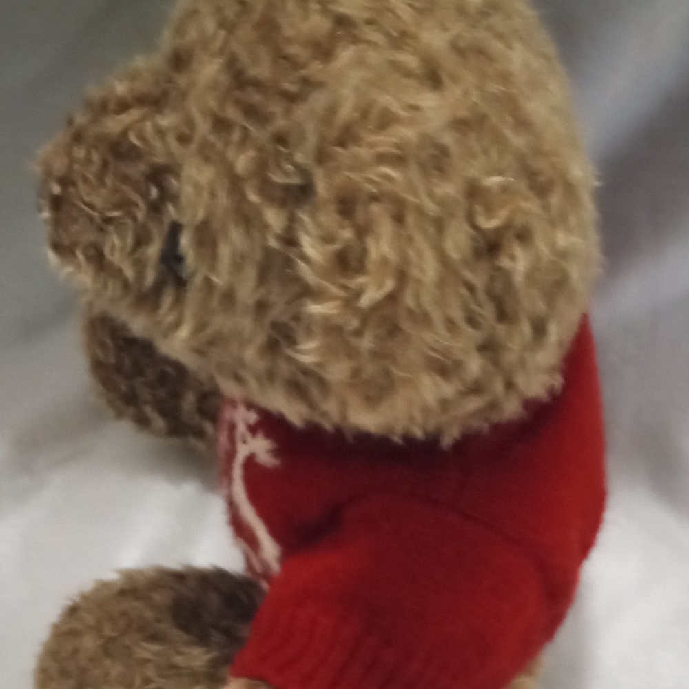 Ralph Lauren Polo 1998 Teddy Bear with Red Sweater - Picture 3 of 5